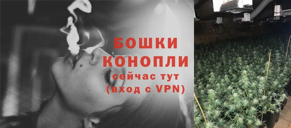 дурь Няндома