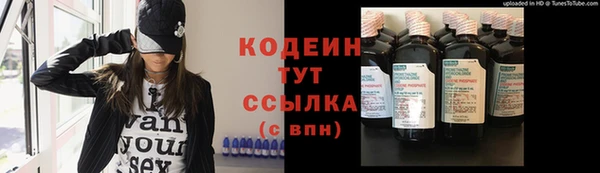 шишки Нягань