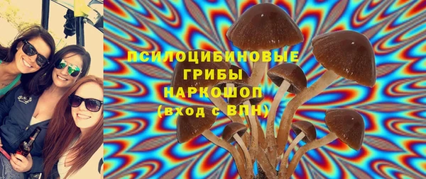 дживик Магас